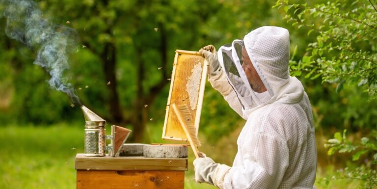 Beekeeping Supplies and Honey Labels: From Hive to Shelf